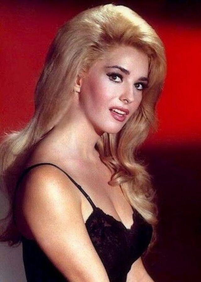 Edy Williams: The Bold Hollywood Icon Who Defied Conventional Fame